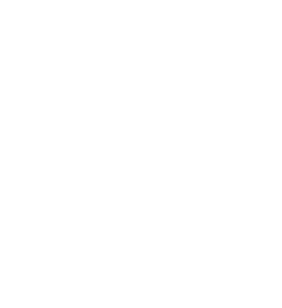Holler Ford Grand Opening and Racing Showcase