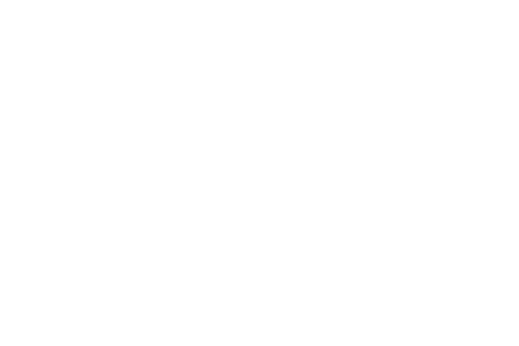 Bronco logo